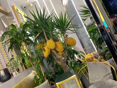-猫王榴莲世家(三里屯SOHO商场店)