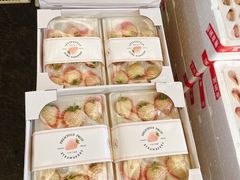 -西郊国际农产品交易中心