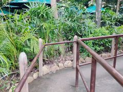 -珠海长隆海洋王国