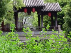 -龙潭水乡