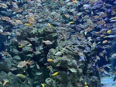 -成都浩海立方海洋公园