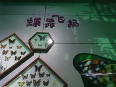 -惠州科技馆
