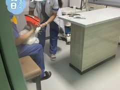 -半岛宠物医院24小时(科华中路店)