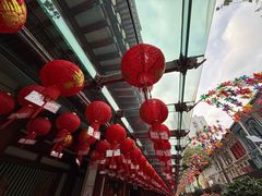 -新加坡佛牙寺龙华院