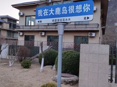 -大鹿岛