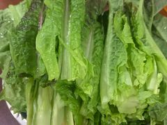 -姚记抚仙湖石锅鱼庄