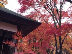 -常寂光寺
