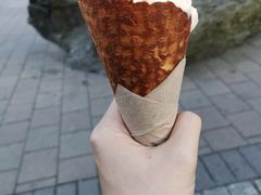 -Patagonia Chocolates(皇后镇店)