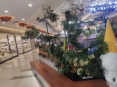 -野人先生Gelato(上海长宁龙之梦店)