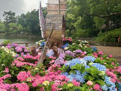 -无锡蠡湖国家湿地公园-蠡园