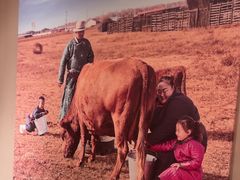 -西贝(六里桥旗舰店)