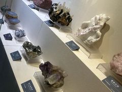 -安徽省地质博物馆