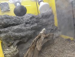 -神奇动物撸宠馆·羊驼·小浣熊·异宠(豫园店)