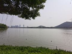 -顺峰山公园