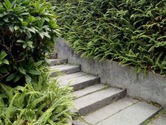 -广州市帽峰山景区