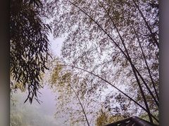-南尖岩