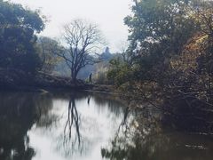 -西溪国家湿地公园