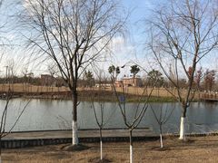 景点-上海长兴岛郊野公园