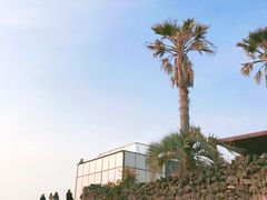 -Cafe Aewol Monsant
