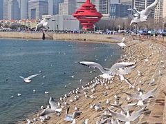 -郑庄脂渣海鲜楼(九水路店)