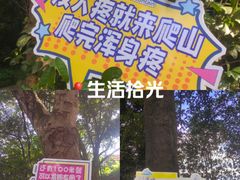 -广州市帽峰山景区