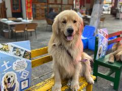 -八木轩·寻味大理白族民俗餐厅(文献路店)
