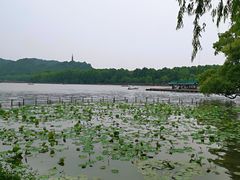 -湖畔居茶楼(湖滨店)