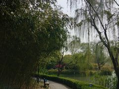 -青枫公园