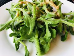 -天伦松鹤大饭店·欣妮咖啡