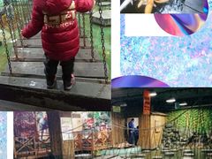 -上海大自然野生昆虫馆(东方明珠·爬宠昆虫探索中心)