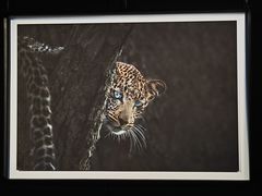 -罗红摄影艺术馆