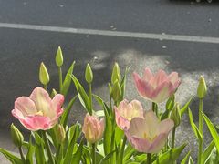 -胖哥川菜馆(武东路店)