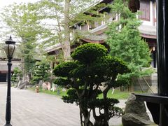 -乐山乌木文化博览苑