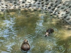 -水上乐园·欢乐世界