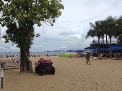 -大梅沙海滨公园