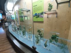 -陕西自然博物馆