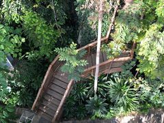 -郑州植物园