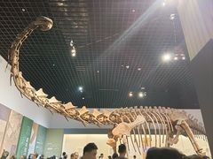 -衢州市博物馆
