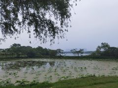 -盘龙城国家考古遗址公园