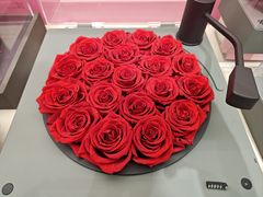 -ROSEONLY诺誓(沈阳万象城店)