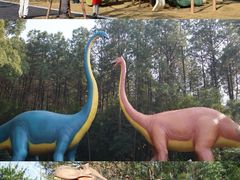 -佛冈森波拉度假区