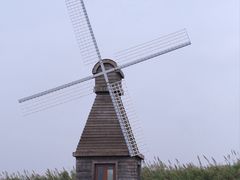 -宁波杭州湾国家湿地公园