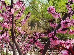 -元大都城垣遗址公园