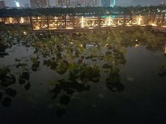 -南宁南湖公园