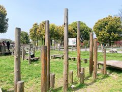 -田园东方蜜桃村的田野营地