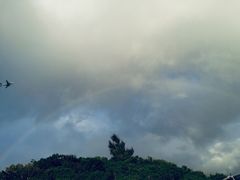 -濑长岛