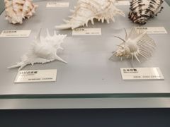 -天津古林古海岸遗迹博物馆