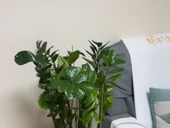 -静沐人生养生馆(佳宁娜分店)
