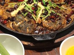 -老板恋上鱼(荣盛广场店)
