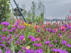 -东钱湖旅游度假区